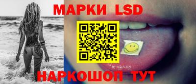 ПСИЛОЦИБИНОВЫЕ ГРИБЫ Кандалакша