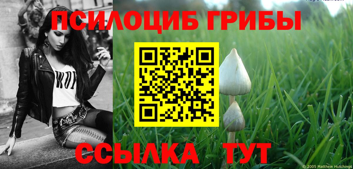 Унеча  Галлюциногенные грибы мухоморы  Галлюциногенные грибы Psilocybine cubensis  Вход с VPN 